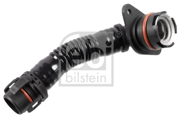 Hose, crankcase ventilation